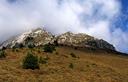 20-I ripidissimi pendii erbosi che scendono dal monte Chiampon