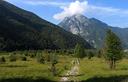 09-Rada pineta lungo il Sentiero Natura Valle Musi