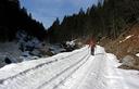 04-La pista forestale che scende a fianco del greto del torrente Ongara