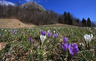 Attorno al monte Prat da Somp Cornino a Forgaria