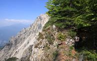 Anello del Monte Cucco da Arta