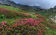 Cime Centenere dalla Val Cimoliana