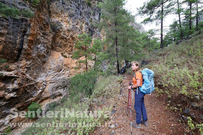 02-Le rocce colorate della gola di Agia Irini