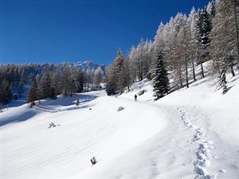 Proseguiamo quindi lungo la carrareccia, transitando a meridione delle quote 1629 e 1658, e dopo un piccolo tornantino, raggiunta l'ampia conca ad oriente del M.Piccolo, abbandoniamo l'innevata carrareccia ( a volte completamente cancellata dalla neve ) i