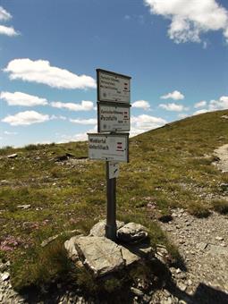 Alla sottostante Forcella Manzon troviamo alcuni cartelli con le indicazioni sulle destinazioni raggiungibili dall'ampio valico.