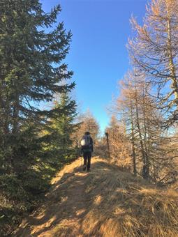 Svoltando a destra, ci dirigiamo verso ponente lungo la dorsale parzialmente boscata.