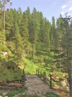 Alla località Cuol Fonton, svoltiamo a sinistra lungo il CAI 223, ammirando una spettacolare cascata sul Torrente Tolina, poco prima dell'attraversamento di un ponticello.